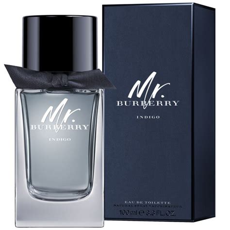 mr burberry eau de parfum 50ml|mr burberry indigo 100ml.